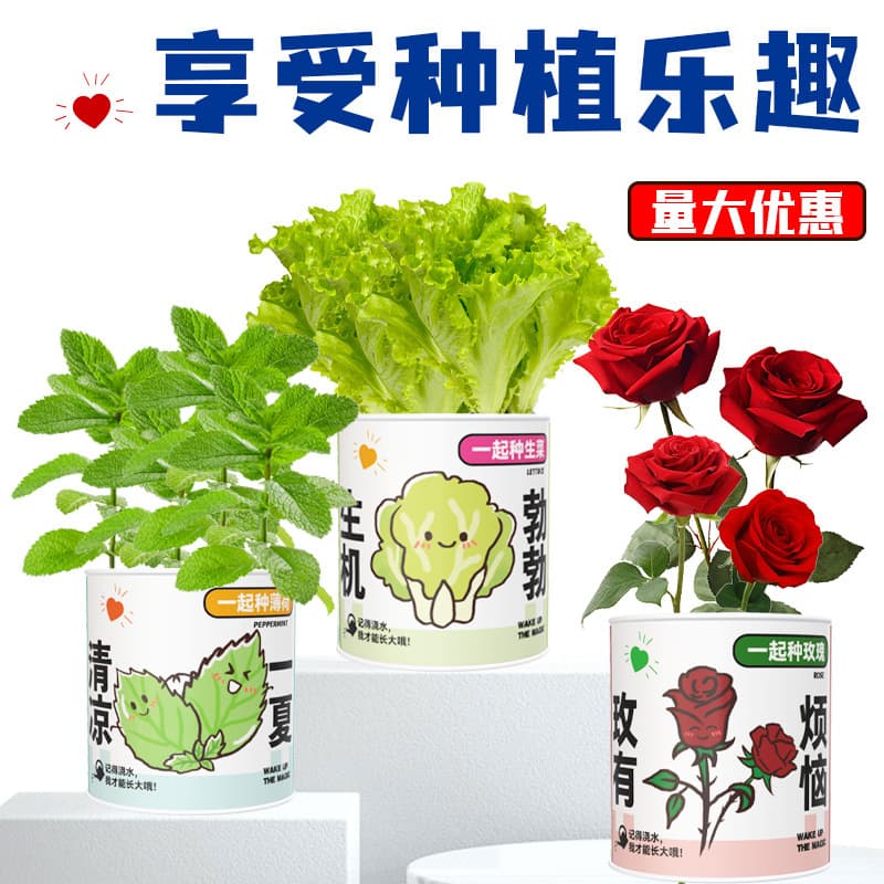 Creative Plant Blind Box Tin Can Potted Plant Desktop Greenery Children's Planting Customizable Trendy Canister Viewing Plant