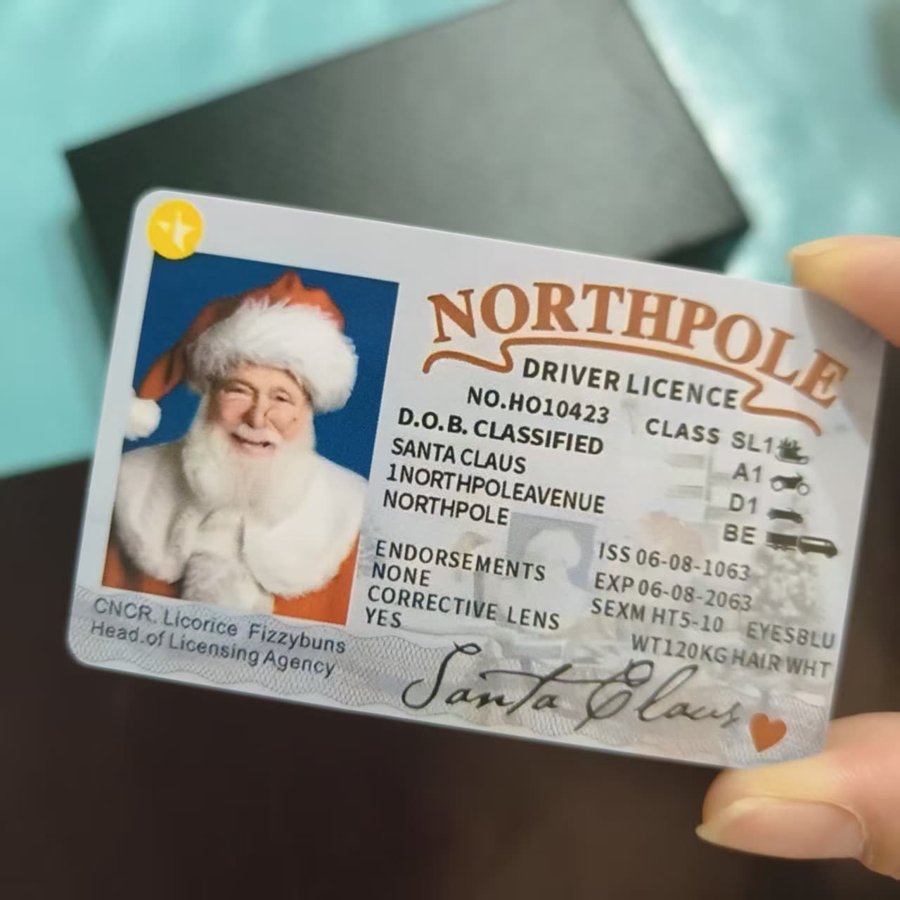 Cross-border New PVC Card McLovin Driver's License Creative Decorative Membership Card Driver's License Santa Claus Card