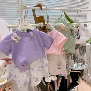 Girls Set Summer 2024 New Style Short Sleeve Chinese Style Fashionable Two-Piece Set Baby Children Summer Princess Style Girls