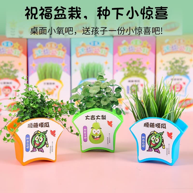 Mini Potted Plant DIY Science Experiment for Kids, Mini Farmer Flower Seeds Gift Blind Box