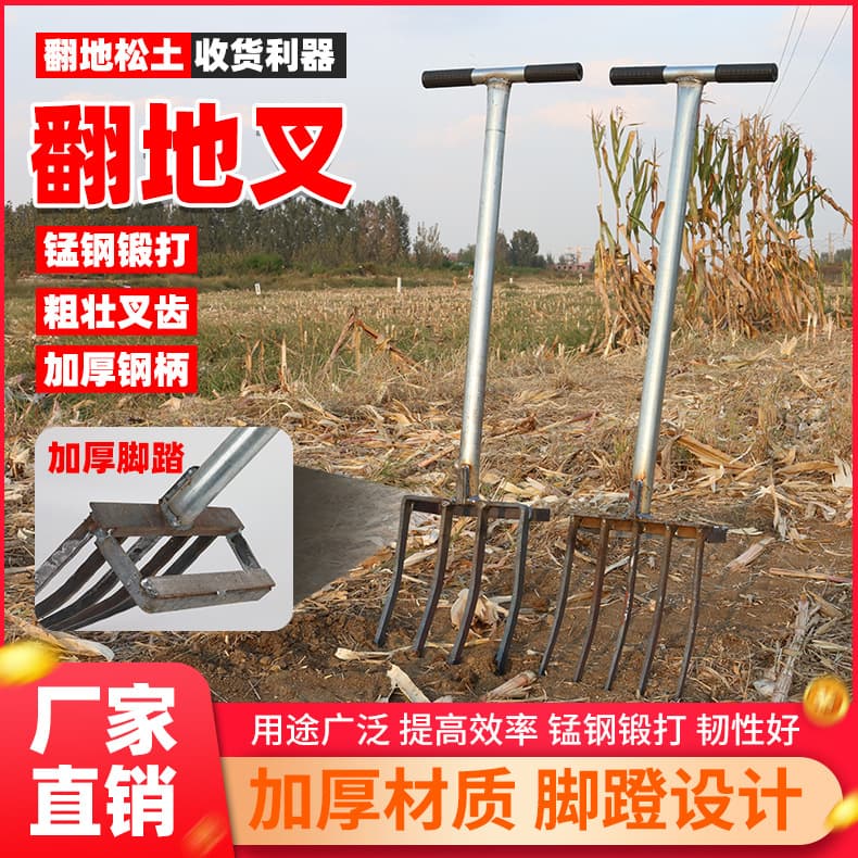 Ginger Fork Steel Shovel, Ultimate Tilling Tool for Loosening Soil, Digging Garlic and Ginger, Four or Five-Tine Manganese Steel All-in-One