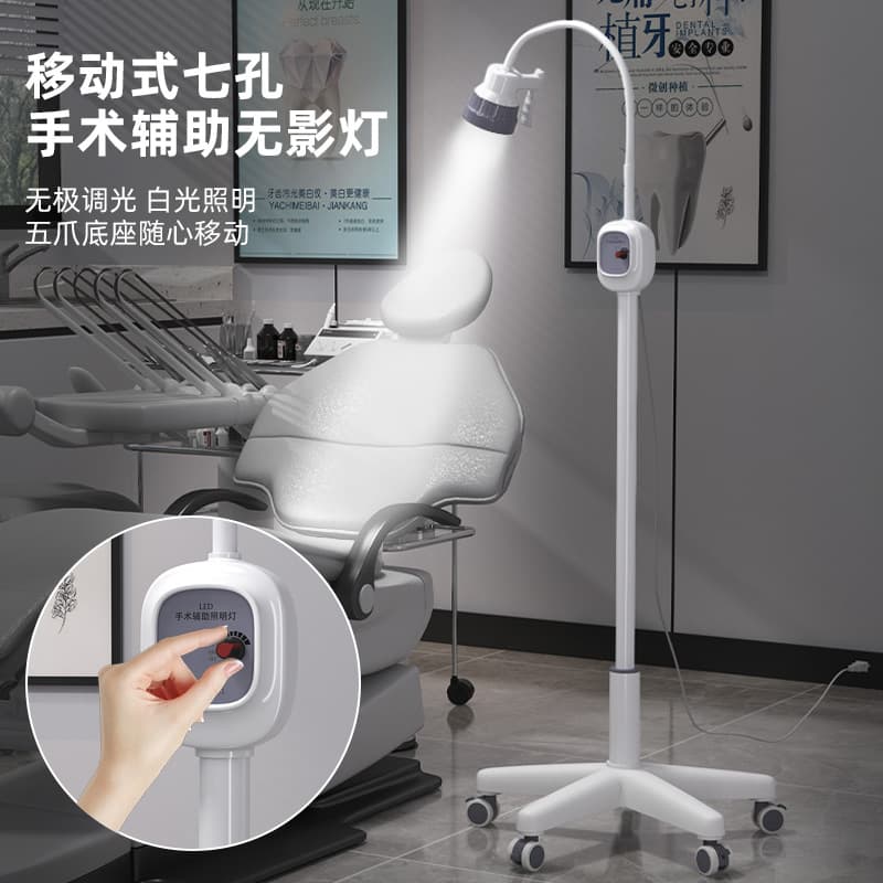 LED Examination Light Cold Light Auxiliary Illumination for Gynecology and ENT 7-Hole Shadowless Diagnostic Lamp