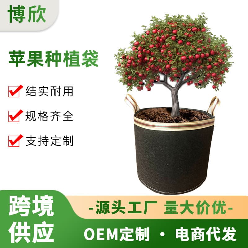 Cross-border popular apple growing bag green plant black thickened felt plant non-woven vegetable pot growing