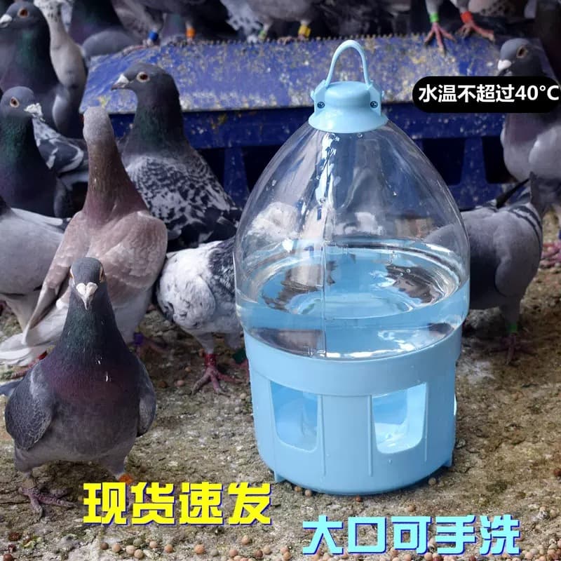 Pigeon Waterer, Pigeon Drinker, Pigeon Supplies, Racing Pigeon Waterer, Pigeon Equipment, Chicken Water Trough, Large Mouth Waterer