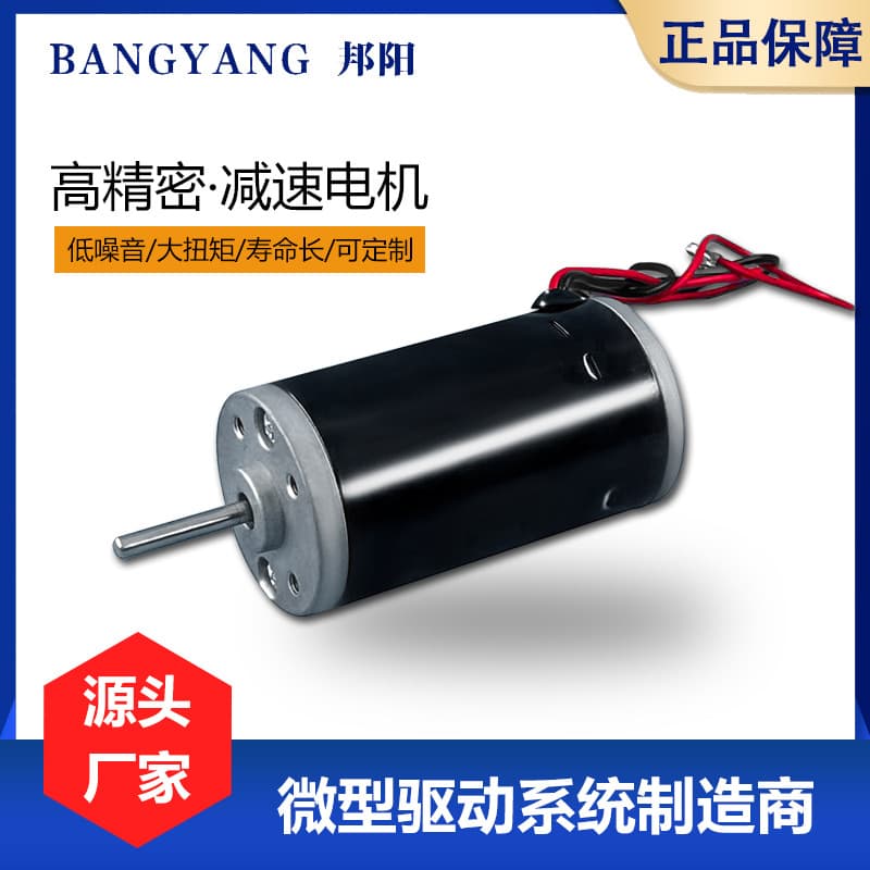 31ZY2480/1280 DC Brushed Steel Tube Motor High Power Speed Control Small Motor Forward and Reverse DC Motor