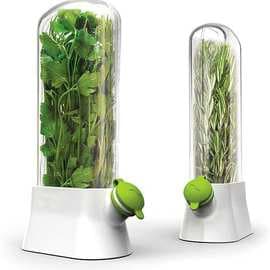 Amazon Shein Cross-Border Herb Vegetable Storage Box Anti-Crush Eco-Friendly Storage Creative Coriander Storage Cup