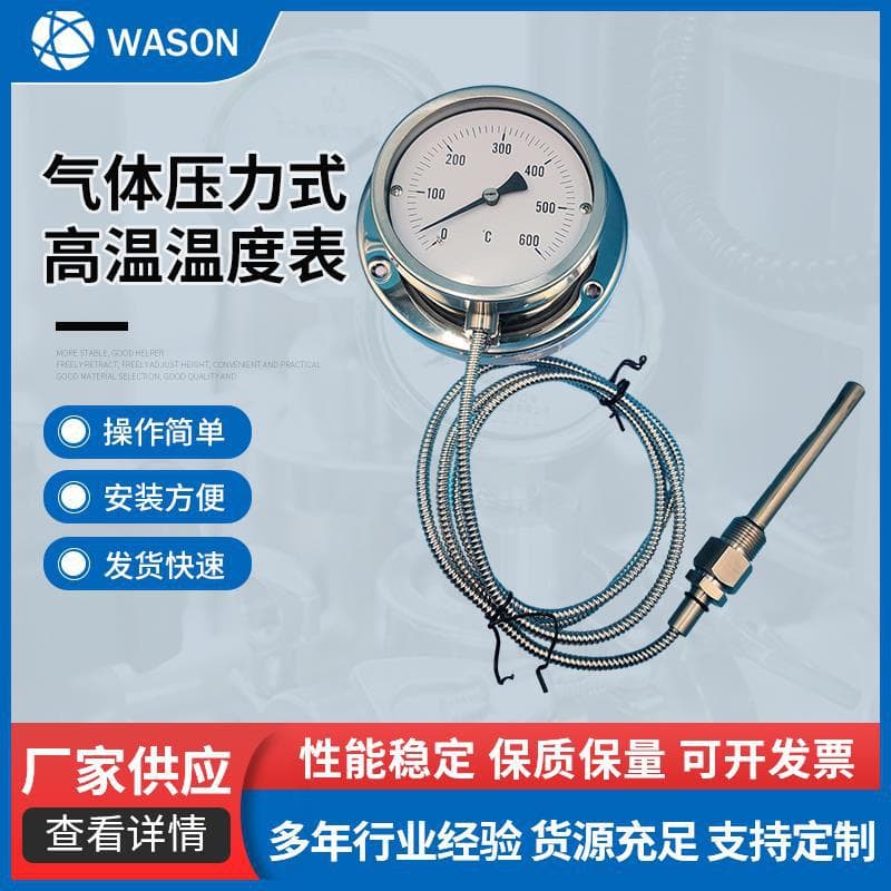 Gas Pressure-Type Industrial 304 Stainless Steel Vibration-Resistant Thermometer for 600°C High-Temperature (100mm)