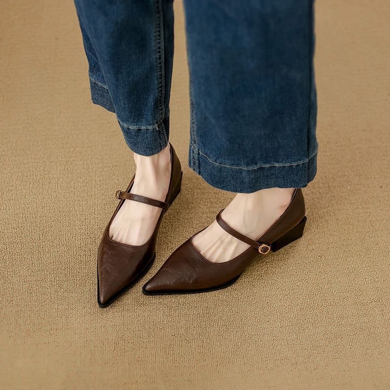 French retro brown Mary Jane shoes, pointed toe small leather shoes, women's thick heel single shoes, spring and autumn one-strap work shoes