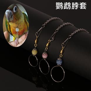 Myna Budgie Bird Neck Collar Rose-ringed Parakeet Cockatiel Parrot Neck Ring Stainless Steel Bird Chain Training Tool Live Knot