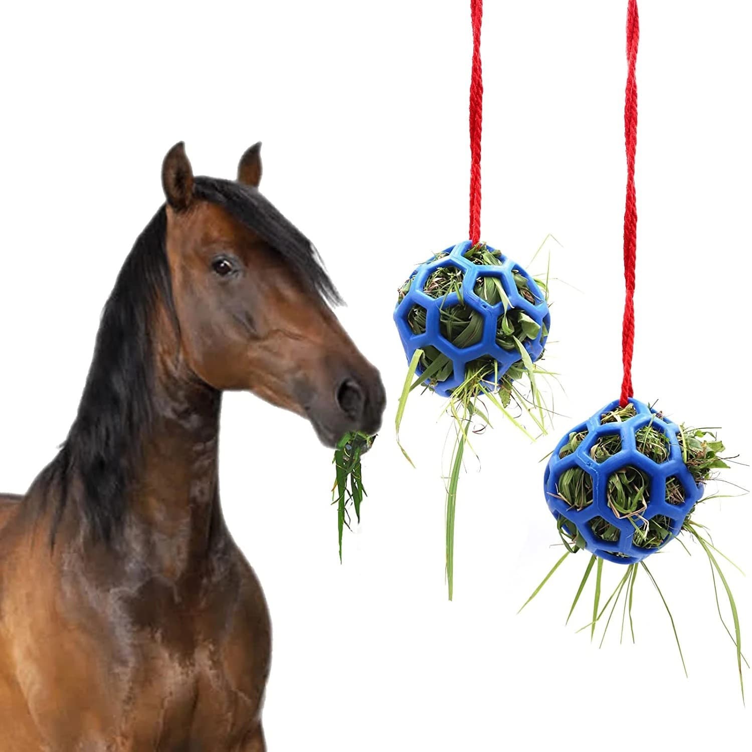 Ready stock multi-color factory direct sales/polo/TPR pet toys/leaky ball/dog bite-resistant toy/14cm