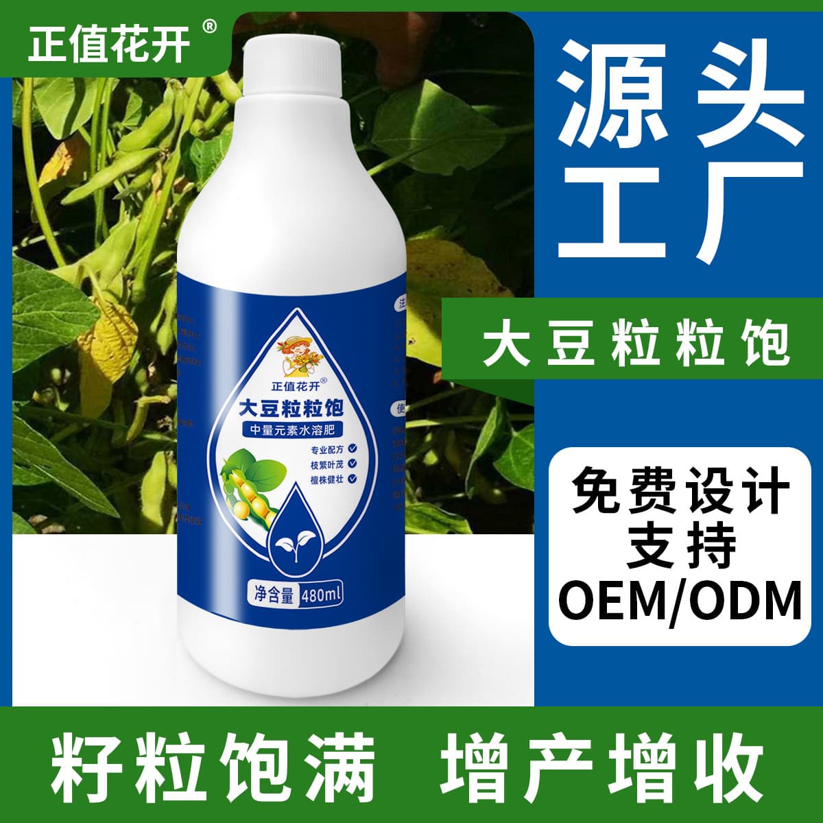 Soybean Grain Full Bean Kidney Bean Yield Increase Foliar Fertilizer Genuine Strong Seedling, Growth, Large Pods, Many Pods, Full Grains