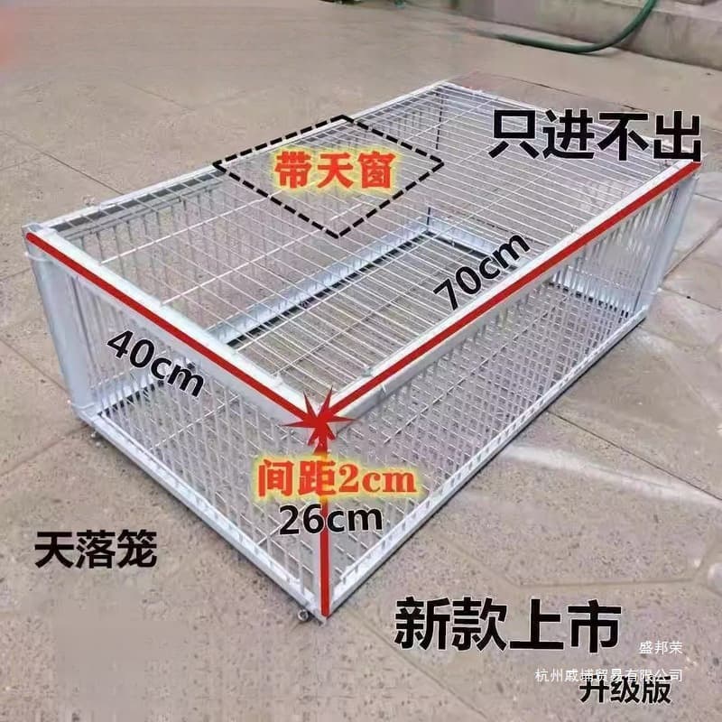 One-Way Bird Cage Automatic Drop Trap with Slam Door for Outdoor Pigeon Catching, Dense, Continuous Use, Wooden