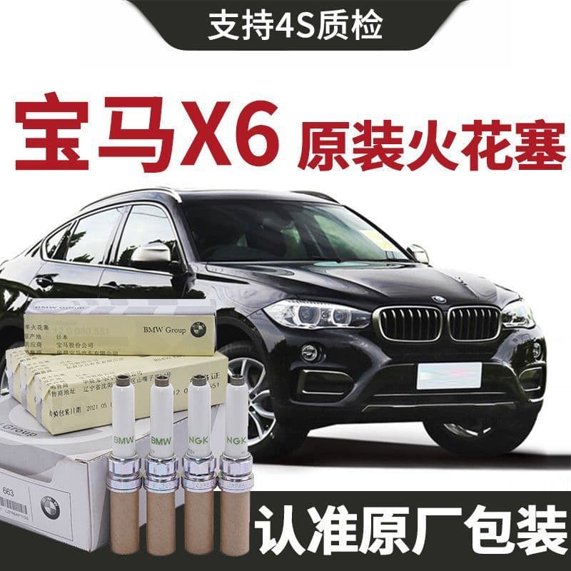 [Original] BMW X6 Spark Plug OEM 2.0T/3.0T Car-Specific Genuine Double Iridium