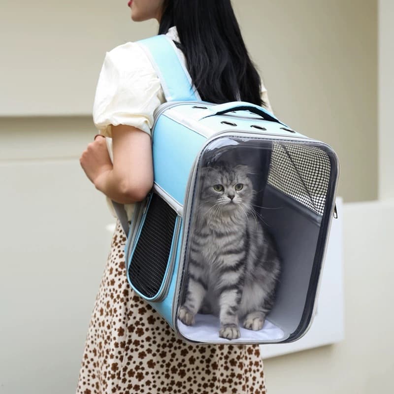 Wholesale Pet Carrier Bag, Large Capacity Breathable Foldable Pet Backpack, Portable Cat Backpack, Dog Backpack for Travel
