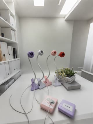 Rose Nail Lamp UV Curing Light Therapy Desk Lamp LED Portable Clip-on Lamp USB Nail Baking Lamp
