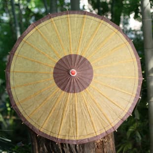 Rainproof and Sunscreen Vintage Oil Paper Umbrella Ancient Costume Cheongsam Hanfu Photography Ceiling Decorative Classical Oil Paper Umbrella Prop Catwalk