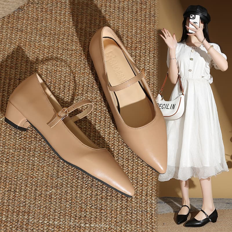 2025 Autumn New Retro Square Toe Low Chunky Heel Shoes for Women, One-Strap Buckle Design, Versatile for Dresses and Outings