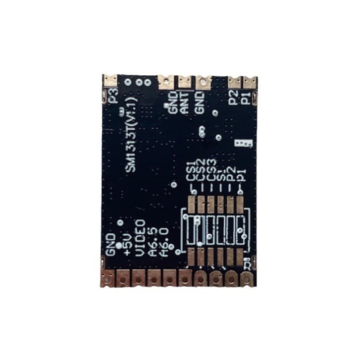 1.2G 1.3G SM1313T 1600MW FPV Video Transmission Module Wireless Audio Video Transmission Transmit Receive