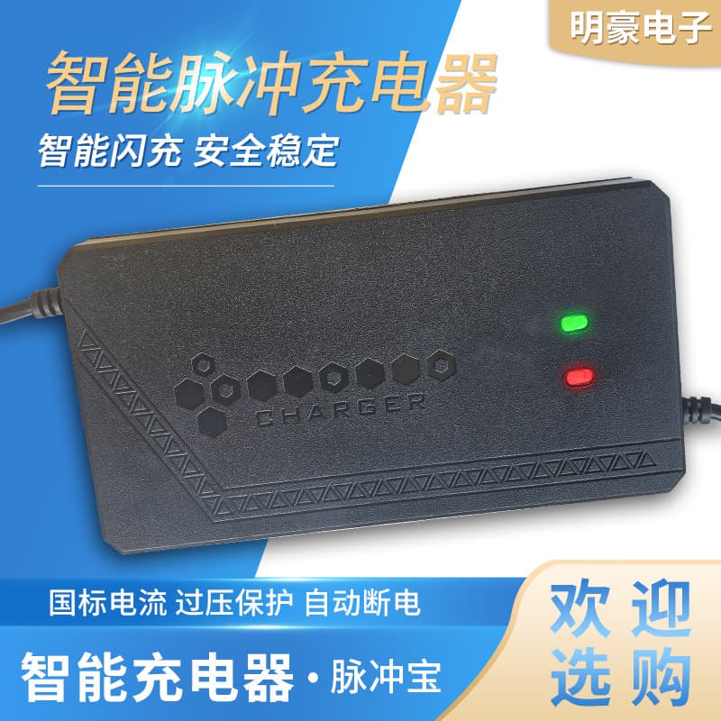 Electric Vehicle Charger for Lead-Acid Battery Temperature-Controlled Charging, Electric Tricycle Pulse Charger for E-Bike