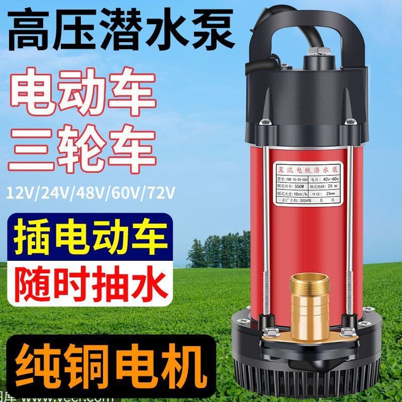 Agricultural DC Submersible Pump 48V 60V 72V for Electric Vehicle Battery, Water Pump 12V 24V Home Use