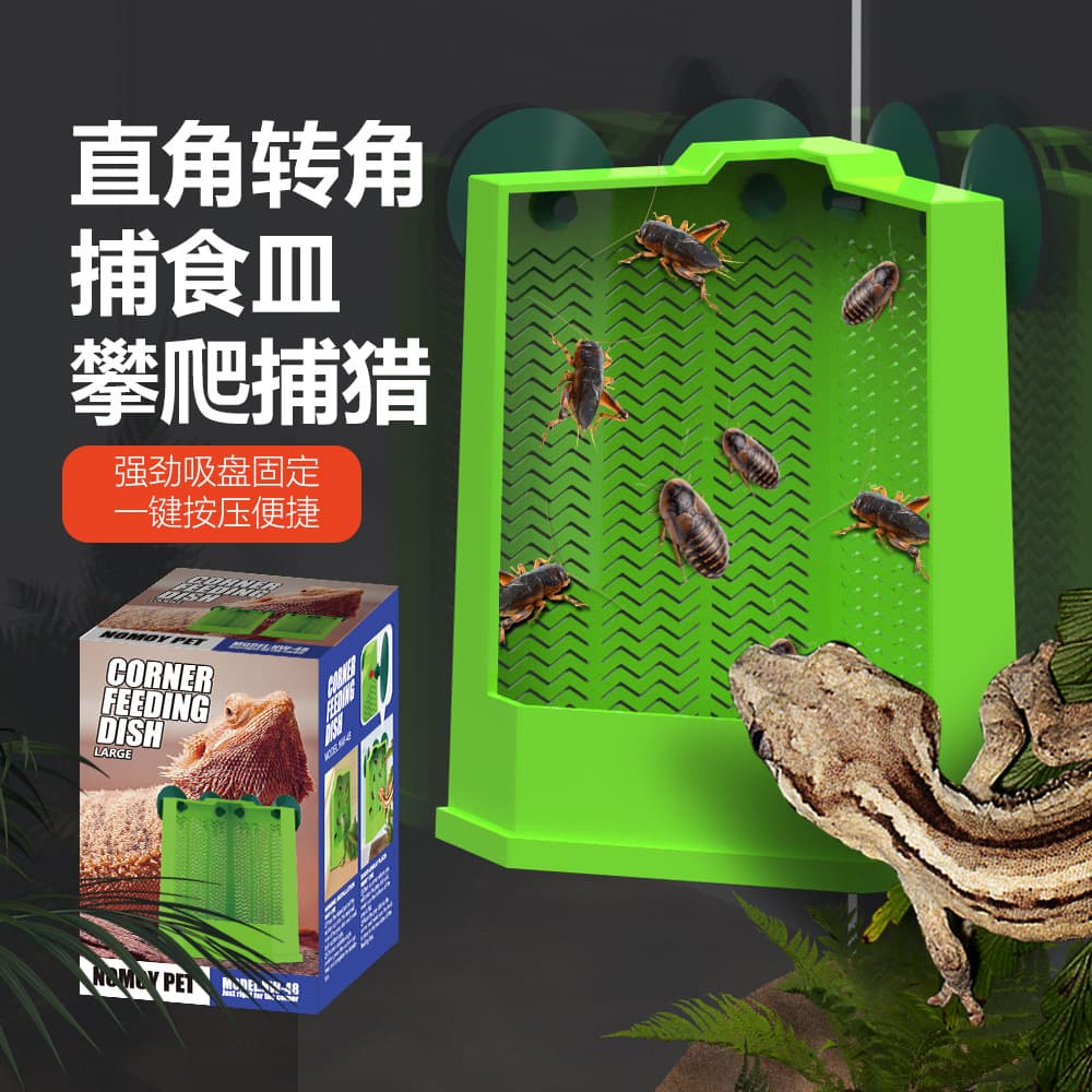 Lizard Leopard Gecko Bearded Dragon Mealworm Dubia Roach Cricket Suction Cup Hanging Feeding Dish for Wild Prey Capture