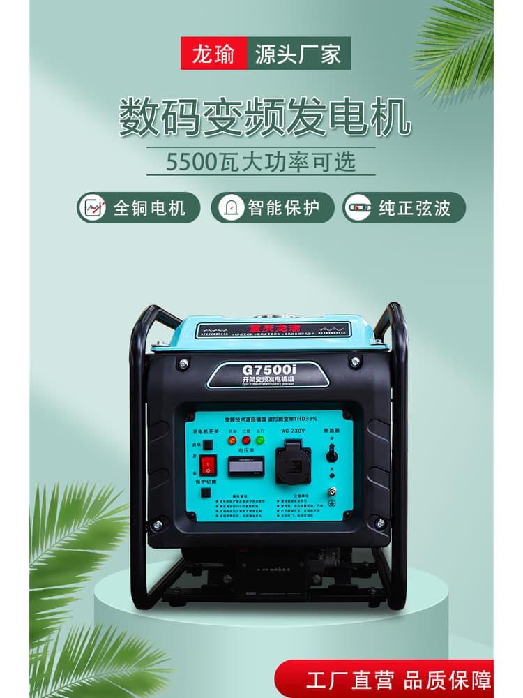 220V Digital Inverter Gasoline Generator, Single Phase, Small, Mini, Home/Commercial/Portable, Other