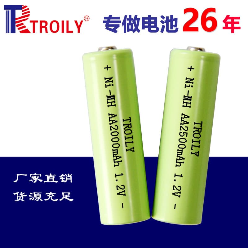 TROILY Brand Ni-MH AA 2500mAh Rechargeable Batteries for Toys, High-Capacity AA Wholesale