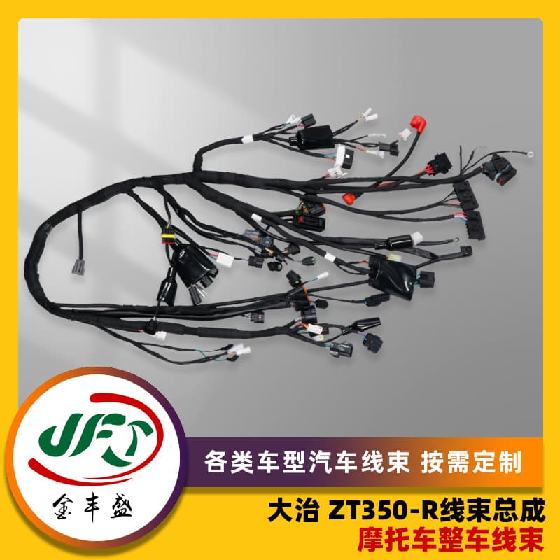 Dazhi Zt350-R Wiring Harness Assembly-A Motorcycle Vehicle Wiring Harness Automobile Vehicle Wiring Harness New Energy Vehicle Wiring