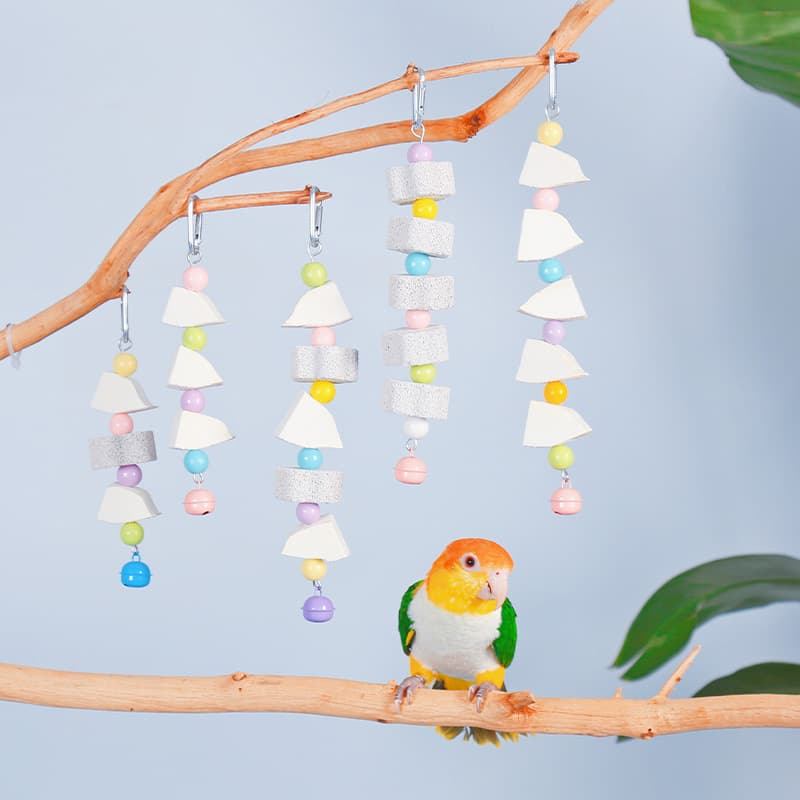 Parrot Toy Chewing Training Beak Grinding Cuttlefish Bone for Lovebirds Cockatiels Complete Set