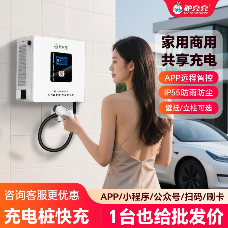New Energy Fast Charging Station for Commercial Vehicles - 20kw, 30kw, 40kw, 60kw, 120kw, 160kw