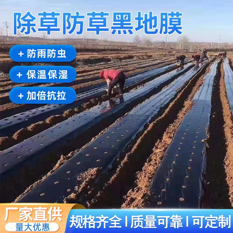 Agricultural planting thickened anti-aging black mulch film plastic film weed control thermal moisture weed prevention greenhouse fruit tree farming