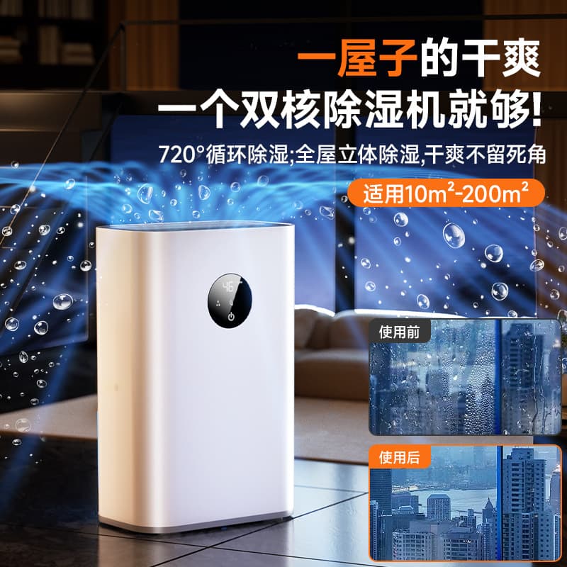 Dehumidifier Home Use Quiet Moisture Absorber Dryer for Damp Weather, Silent Operation, Suitable for 10 to 20 Square Meters