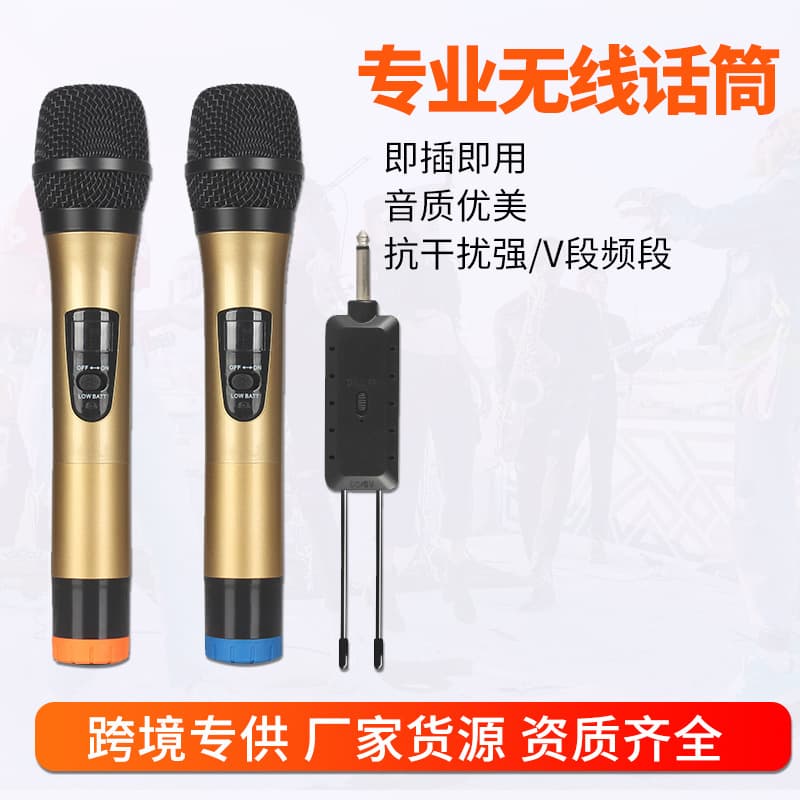 Wireless Microphone Set One-to-Two Professional Stage Home KTV Sound Card Microphone for Live Streaming