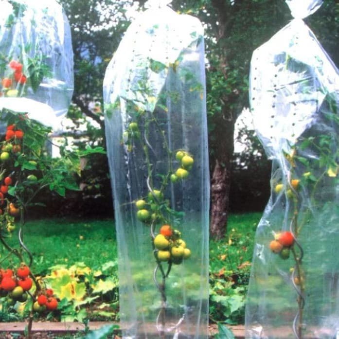 Custom Various Green Colored Patterned Perforated Film Tomato Fruit Tree Protective Cover Small Hole Bird-Proof Plant Cover