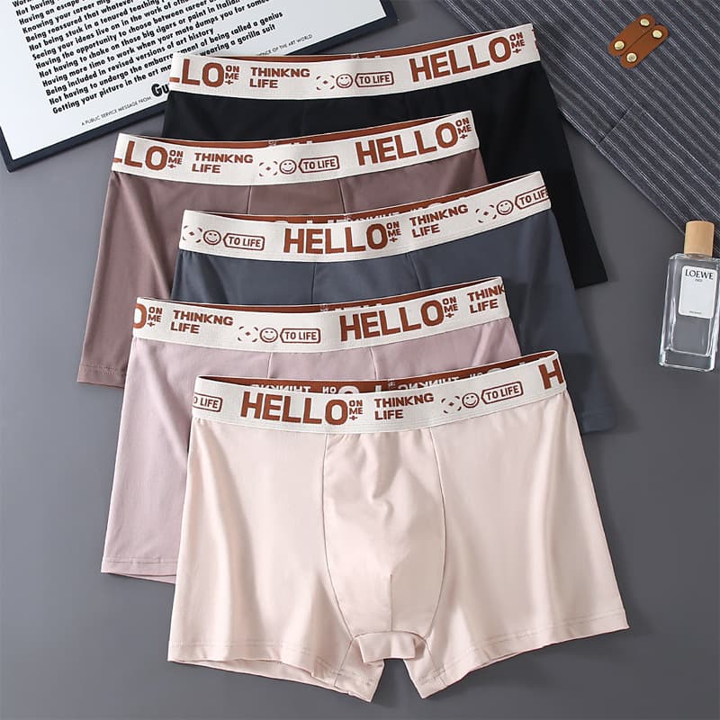 【Factory Direct】Men's Underwear Boxer Briefs, Mid-Rise Boxer Shorts for Youth, Large Size Underpants for Boys
