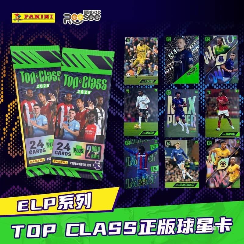 PANINI TOP CLASS Premier League 2025 Trading Cards Collection Football Cards Original