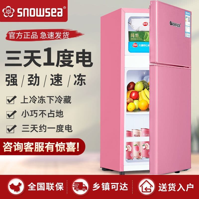 Two-Door Mini Refrigerator, Compact with Freezer and Cooler Functions, Free Shipping