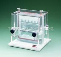 AE-6220 Rapidus Dual Slab Electrophoresis Tank 13×14cm Gel