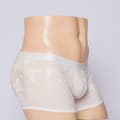 Men's Sexy Lingerie Mesh Lace Butterfly Print Hip-Hugging Boxer Briefs