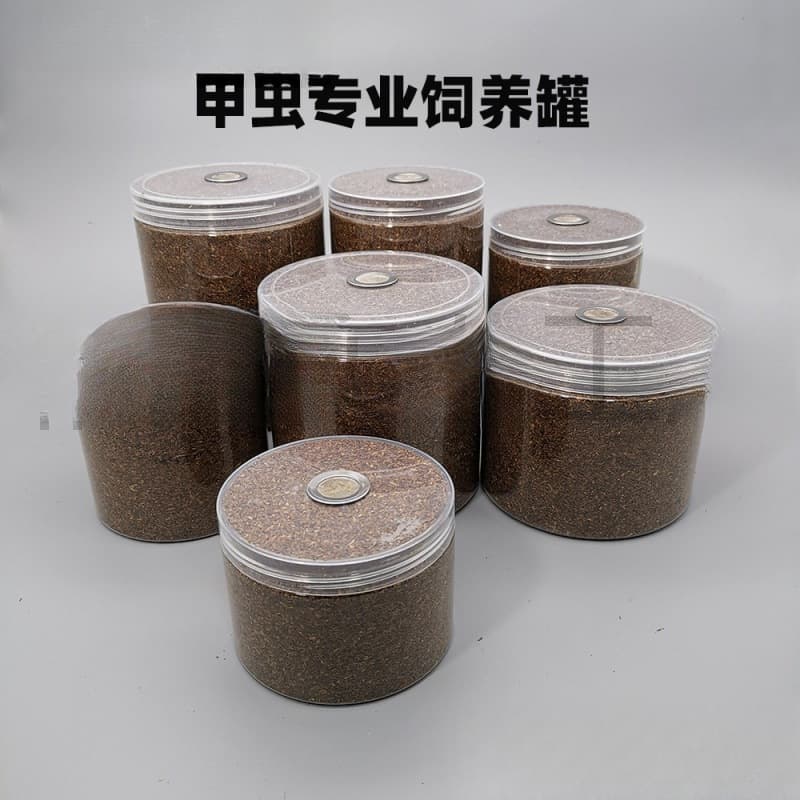 Beetle Breeding Container for Adult and Larval Rhinoceros Beetles, Stag Beetles, and Other Insect Pets