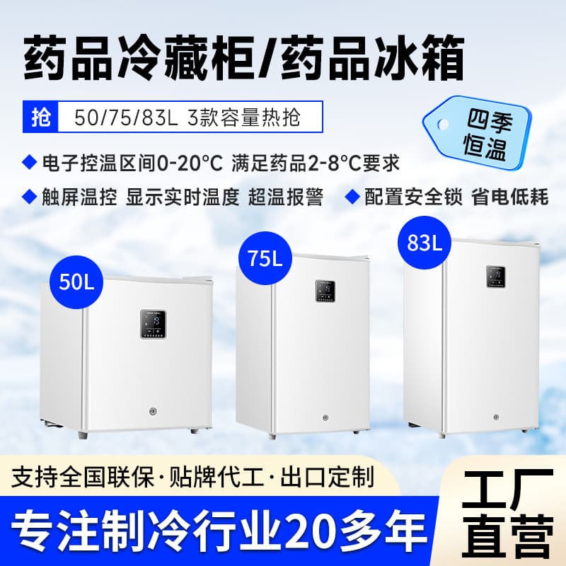 Medicine Refrigerator Beverage Refrigerator Facial Mask Skin Care Products Cosmetics Mother and Baby Mini Lockable Refrigerator Freezer Manufacturer