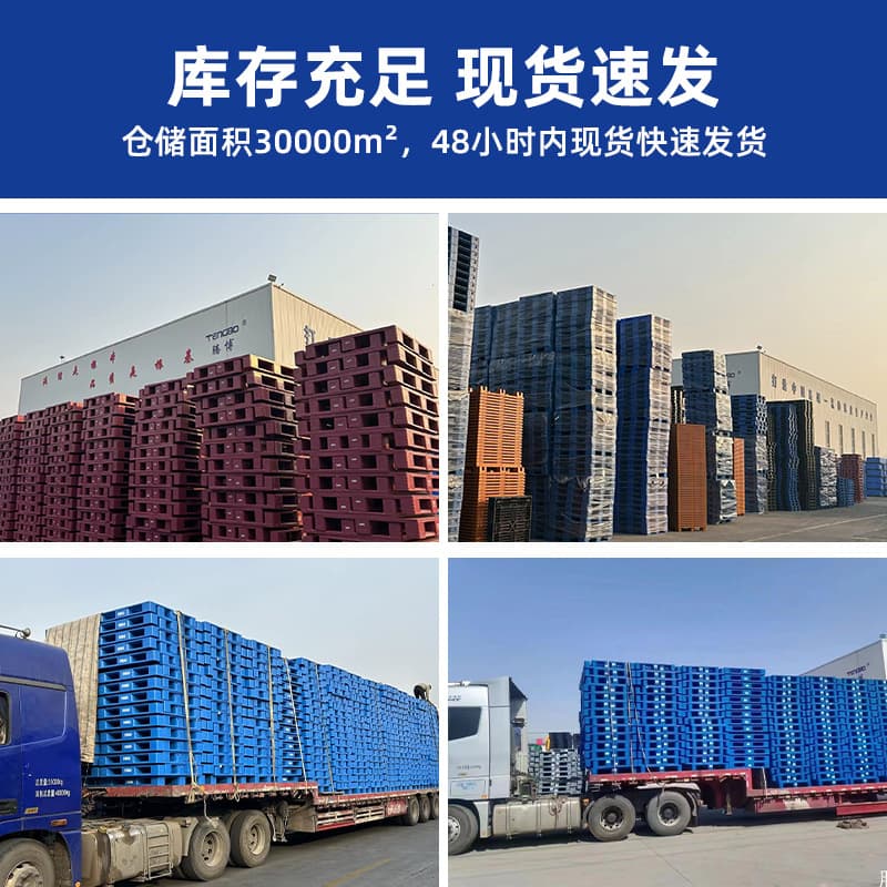 Grid-patterned plastic pallets, forklift-specific plastic pallets, storage and logistics pallets, industrial warehouse heavy cargo pallets
