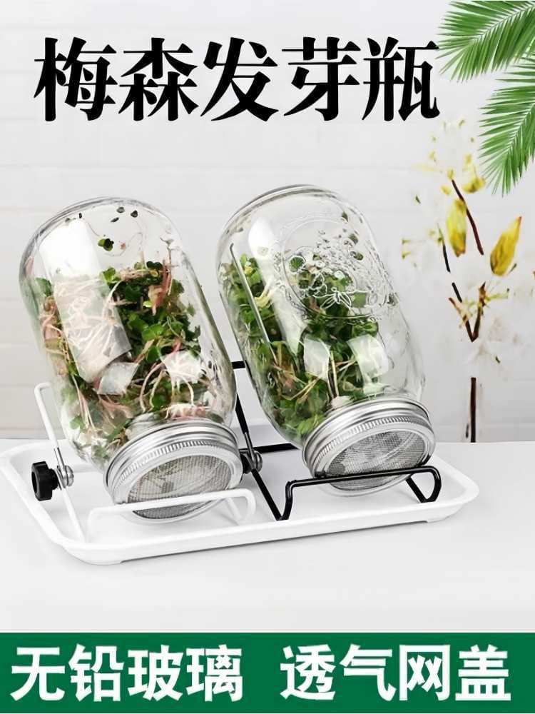 Household Mason Jar Sprouting Container for Growing Bean Sprouts, Mason Jar with Stainless Steel Sprouting Lid, Alfalfa Broccoli Hydroponic Bottle