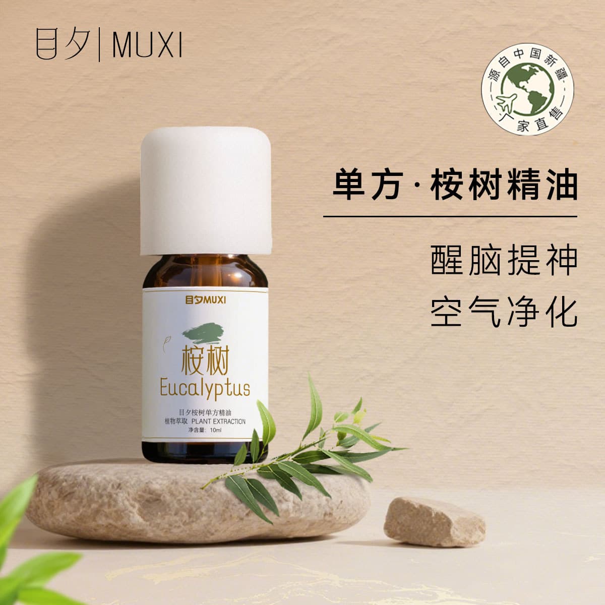 Single essential oil Eucalyptus essential oil Eucalyptus natural plant extract Aromatherapy SPA massage