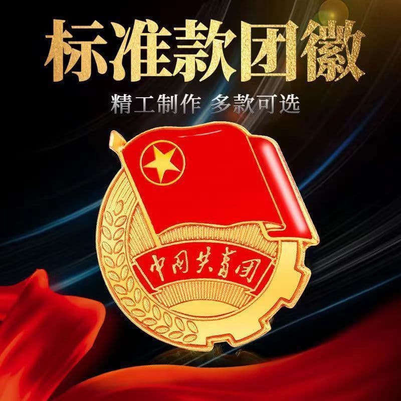 Wholesale New Standard Chinese Communist Youth League Badge Member Badge Central Supervision Student Member Brooch Magnet