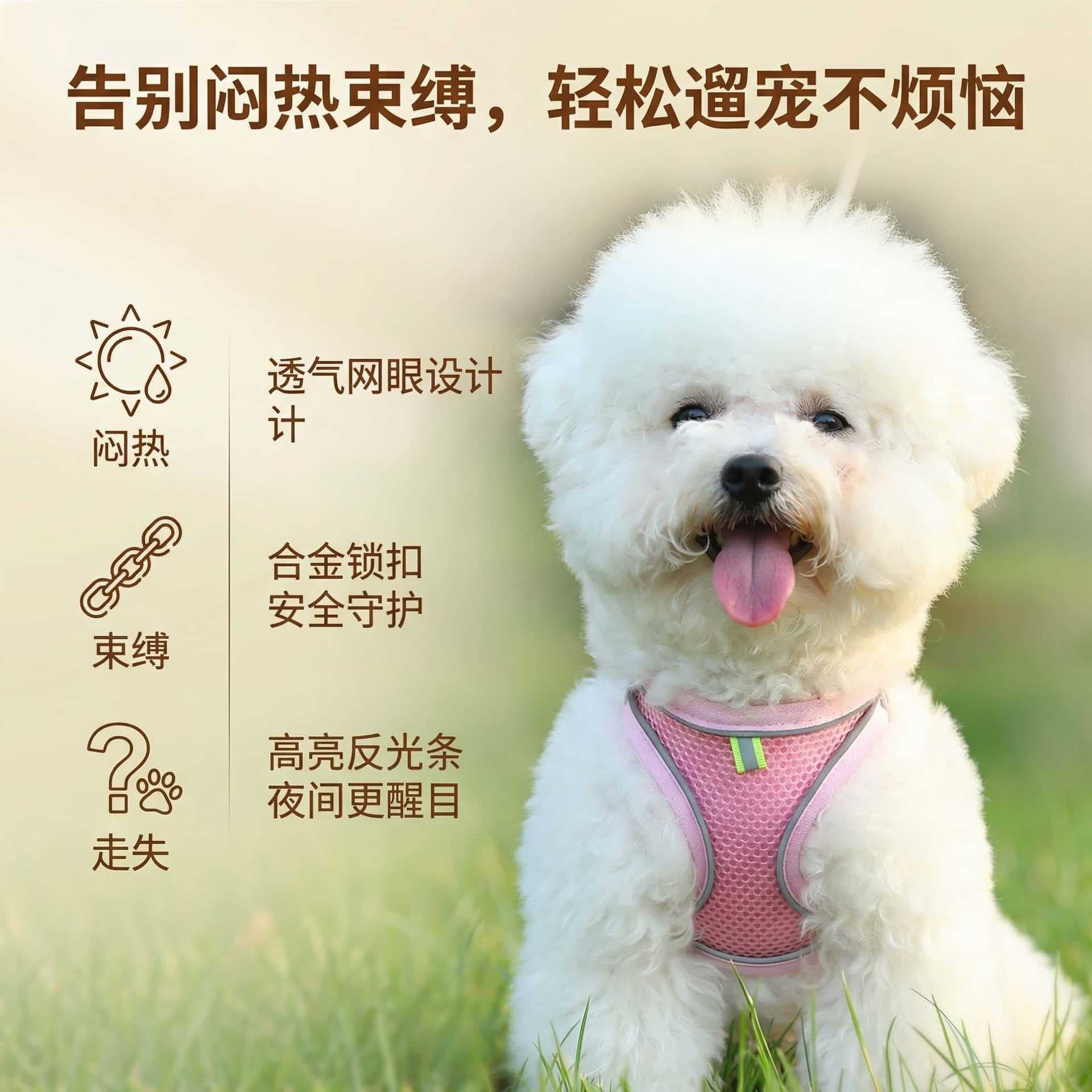 Cross-border Dog Leash Harness Set Breathable Dog Walking Harness