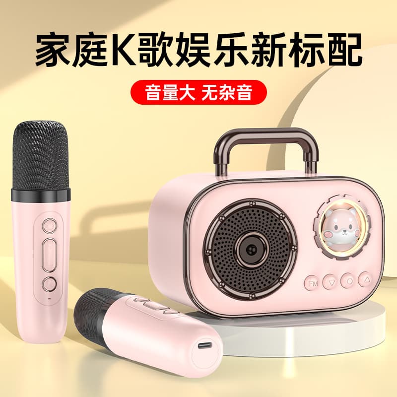 Karaoke Bluetooth Speaker Gift Portable Outdoor Home Use Small KTV High Quality Sound K Song Bluetooth Speaker