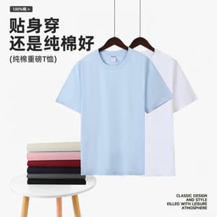 Heavyweight 260g Double Yarn 100% Cotton Solid Color Drop Shoulder Crew Neck Short Sleeve Men's American Streetwear Oversized Blank T-Shirt Summer