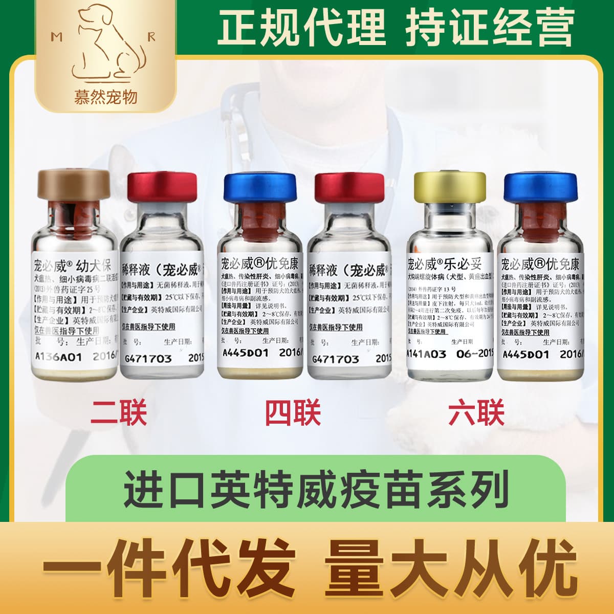 Intervet Dog Vaccine Imported from Netherlands Puppy 2-in-1, 4-in-1, 6-in-1, Rabies Vaccine Pet Dog Preventive Injection