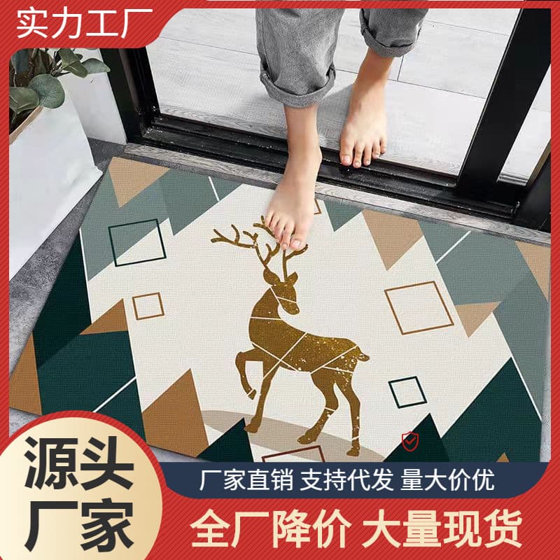 Cartoon Entrance Door Floor Mat, Household Bathroom Water-Absorbing Carpet, Bathroom Non-Slip Foot Mat, Living Room Floor Mat
